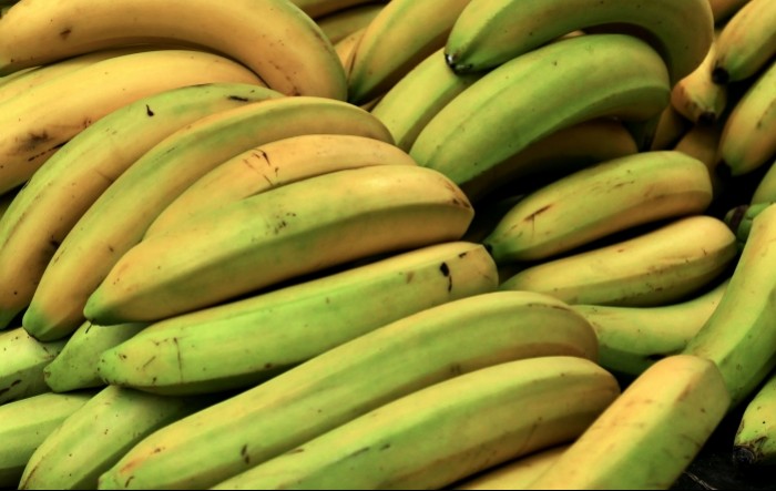 Nestašica banana, cijene će rasti