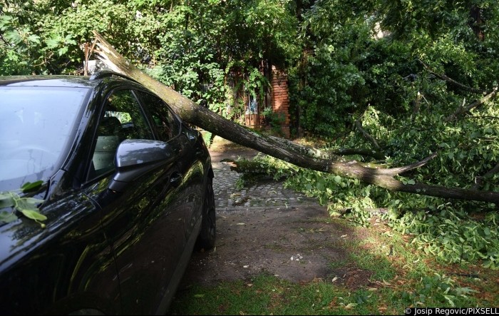 Oluja u Zagrebu, stablo palo na hitni prijem Svetog duha