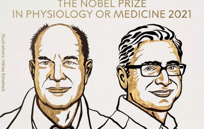 Amerikanci David Julius i Ardem Patapoutian dobitnici Nobelove nagrade za medicinu