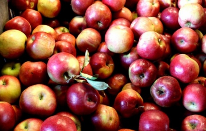 Enna Fruit pokreće akciju Mjesec domaće jabuke