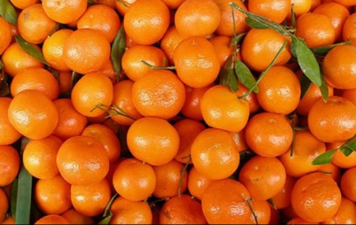 AZTN kaznio otkupljivača mandarina Jasensku s 350 tisuća kuna