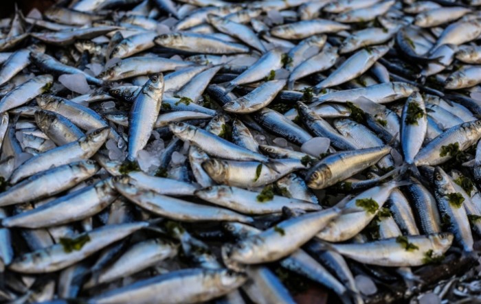 Potrošnju ribe iz uzgoja do 2027. trebali bismo udvostručiti