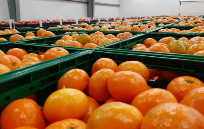 Neretvanske mandarine: Proizvođači ogorčeni na Srbiju