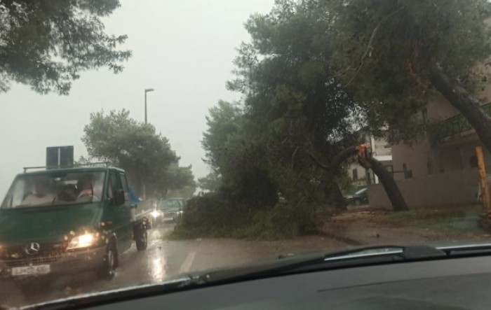 Oluja stigla do Istre, u Umagu iščupana stabla