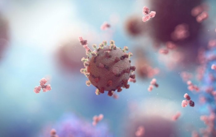 Izaslanik WHO-a: Globalno iskorjenjivanje koronavirusa nije razuman cilj