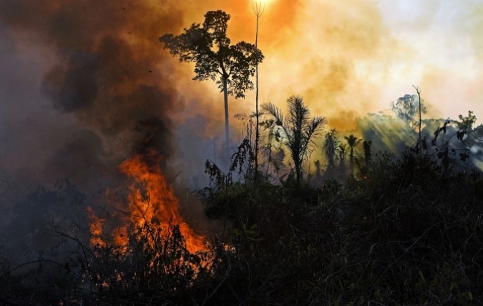 Amazonija gori: Zabilježen dan s najviše šumskih požara u 15 godina