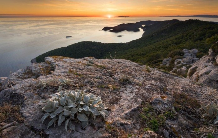 Forbes uvrstio Mljet u top 5 neotkrivenih mediteranskih otoka