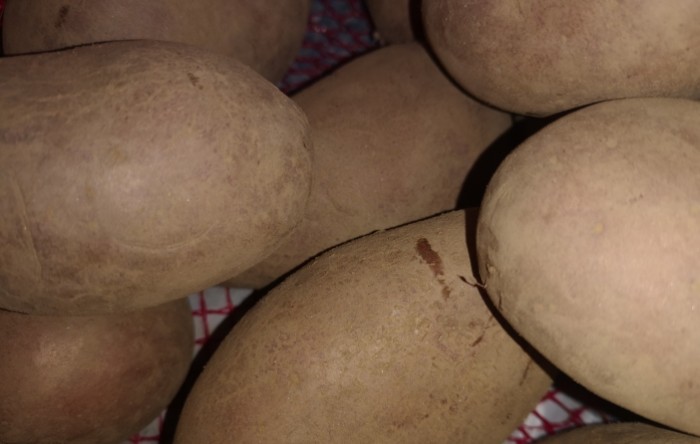 Tržišni višak krumpira oko 40.000 tona: Potrebna hitna pomoć države