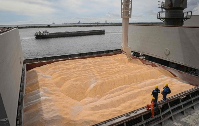 Brodovi s pšenicom sve više zaobilaze Sueski kanal
