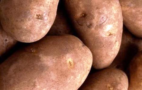 Hrvatski apsurdi: Uvoz krumpira uzletio preko 50%