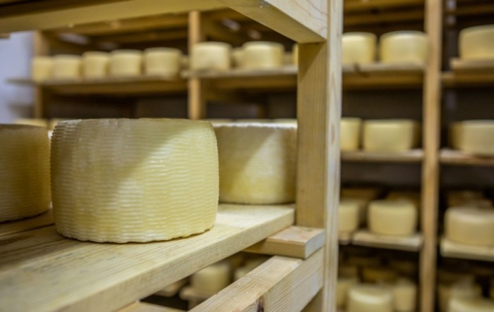 Hrvatski i slovenski proizvođači zajednički brendiraju ovčji sir iz Istre