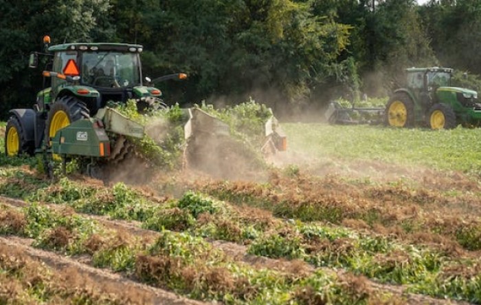 Vrijednost poljoprivredne proizvodnje pala 7,4 posto