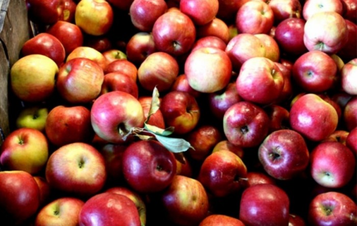 Domaći proizvođači: Prodaju se jabuke prskane zabranjenim fungicidom