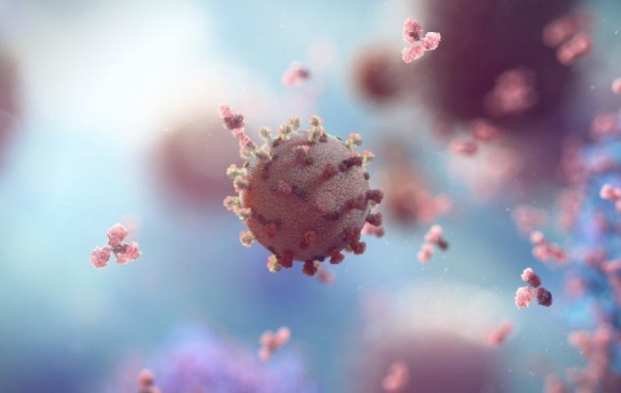 Što se zna o novom soju koronavirusa P.1?