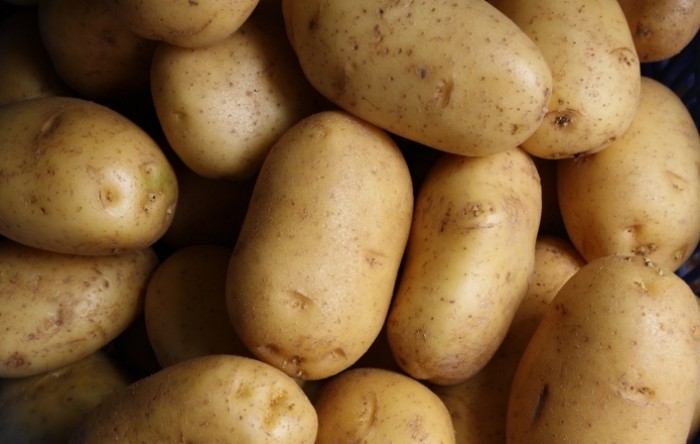 Njemački farmeri u problemima zbog ogromnog viška krumpira