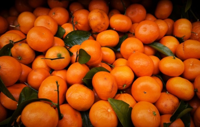 Otkupne cijene mandarina padaju, proizvođači nezadovoljni