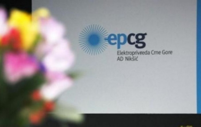 Damjanović: EPCG će dio dobiti uplatiti u budžet