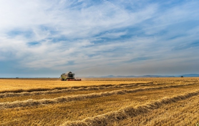 McKinsey: Efikasnija poljoprivreda mogla bi značajno smanjiti stakleničke plinove