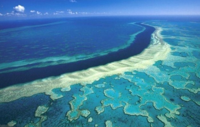 Globalno zatopljenje: Veliki koraljni greben u 30 godina izgubio 50% koralja
