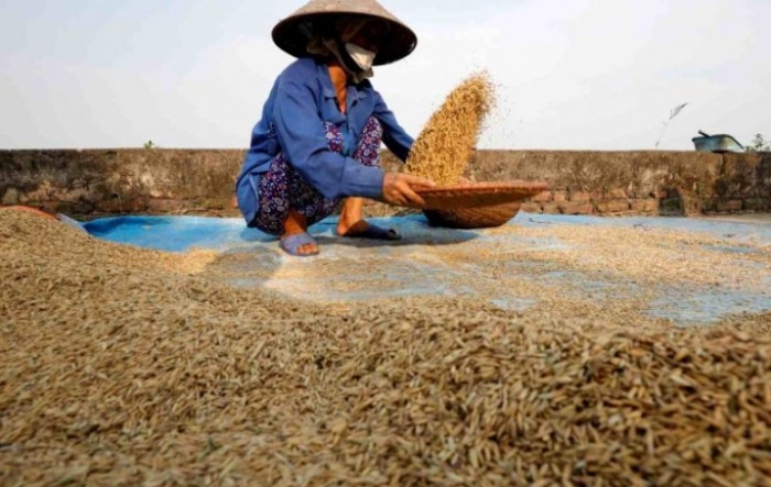 Vijetnam obustavlja izvoz riže