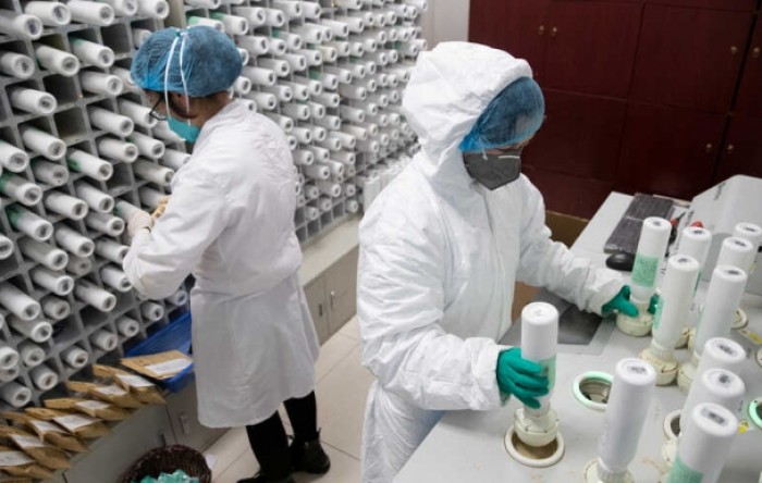 Kina traži volontere za testiranje lijeka za koronavirus