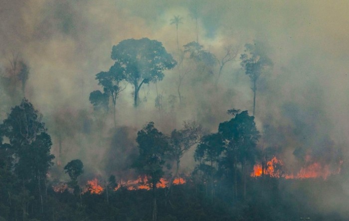Iskrčeni dijelovi Amazonije emitiraju više CO2 nego što ga apsorbiraju