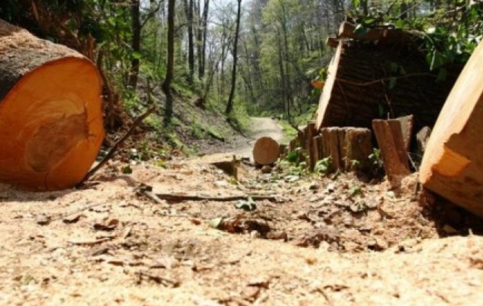 Hrvatske šume produžuju plaćanje drvnih proizvoda na 100 dana