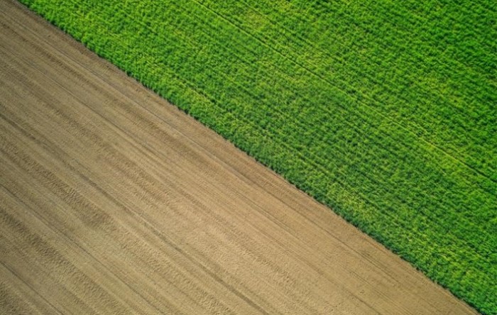 Vučković demantira podatke prema kojima ne raste poljoprivredna proizvodnja