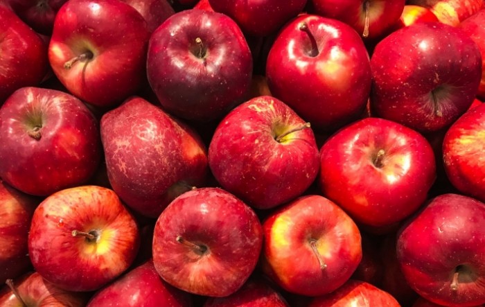 Moderna skladišta i udruživanje jedini način za opstanak proizvodnje jabuka