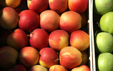 Jabuke iz Srbije uskoro na indijskom tržištu