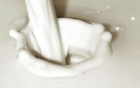 Kreće isplata 22,7 milijuna kuna proizvođačima mlijeka