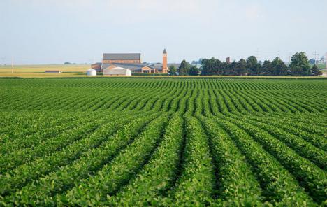 Najviše EU novca za poljoprivredu po glavi stanovnika povukla je Virovitička županija