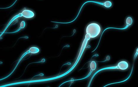 Pretilost utječe na kvalitetu i broj spermija